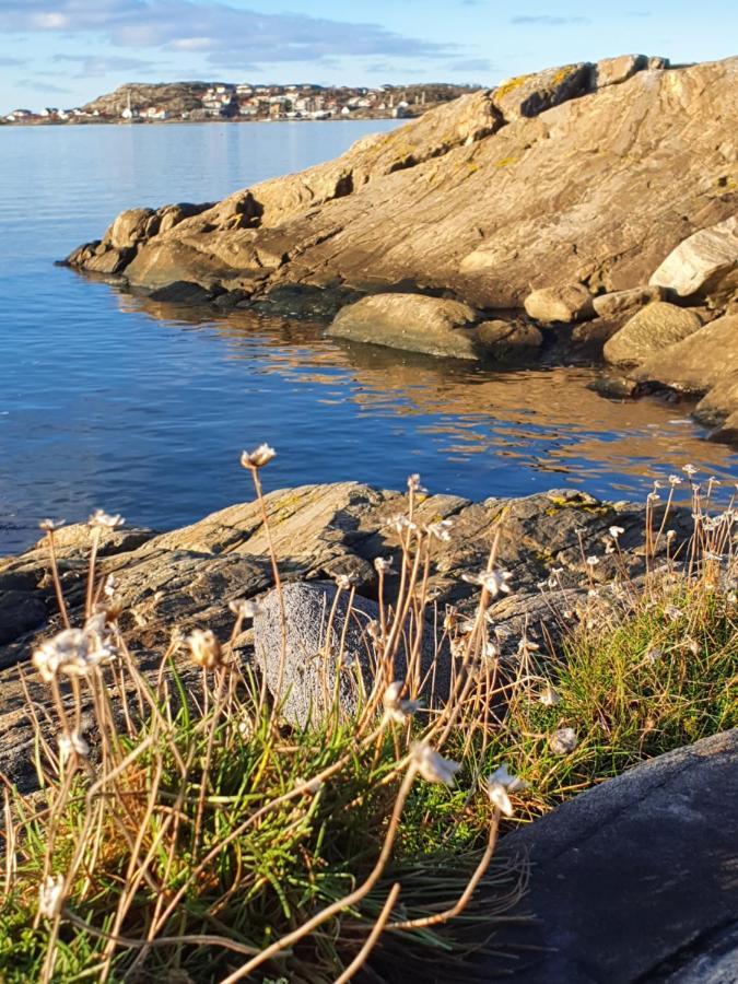 Skaergardsidyll Pa Bjoerkoe Med Gangavstand Till Havet Skarvik Εξωτερικό φωτογραφία